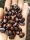 Ceylon Arabica Coffee Whole Beans Light/medium/dark Roasted