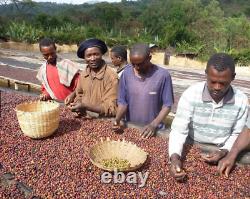 Doorstep Ethiopia Yirgacheffe Single Arabica Coffee Bean 200g Expedited Ship
