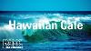 Hawaiian Cafe Hawaiian Ukulele With Ocean Sounds Relaxing Cafe Music With Ocean Waves