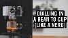 How To Dial In A Bean To Cup Machine Like A Nerd