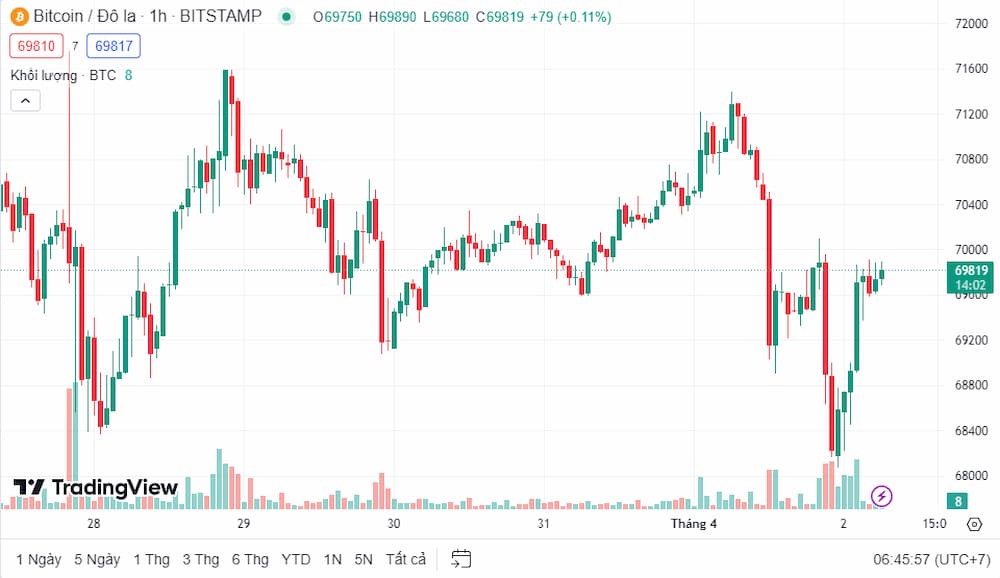 Why Is Bitcoin Cash Going Up So Fast?